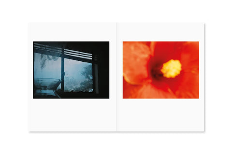 between the skin and sea, Katrin Koenning
