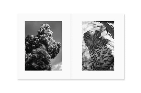 between the skin and sea, Katrin Koenning