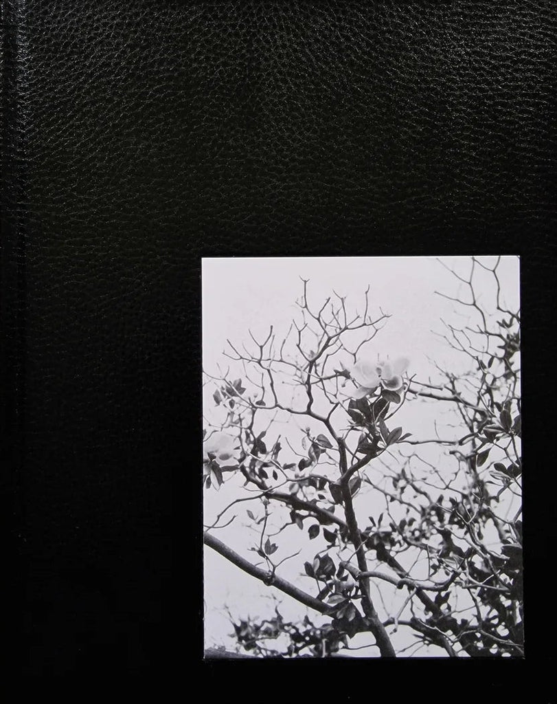 Migration Patterns, Brandon Ruffin