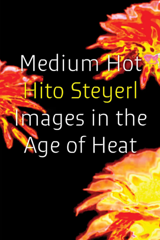 Medium Hot: Images in the Age of Heat, Hito Steyerl