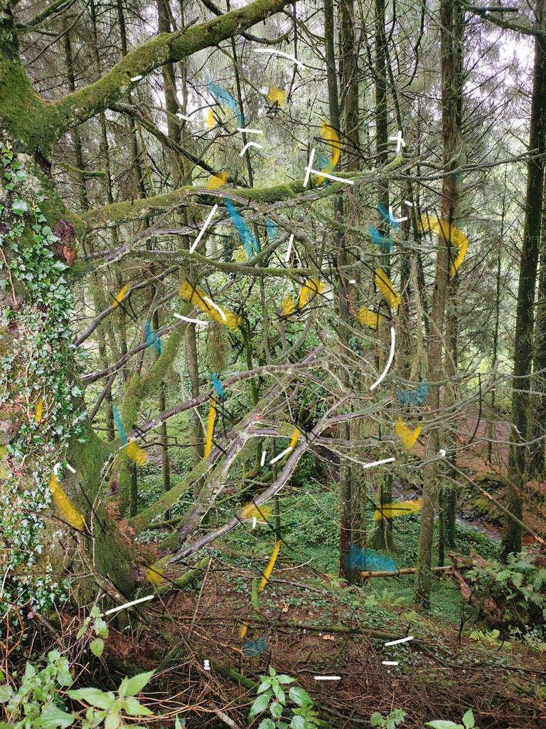 Dawn West, Intervention2