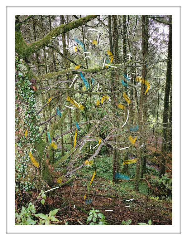 Dawn West, Intervention2