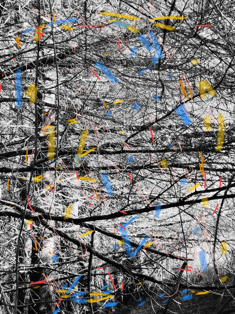 Dawn West, Intervention6