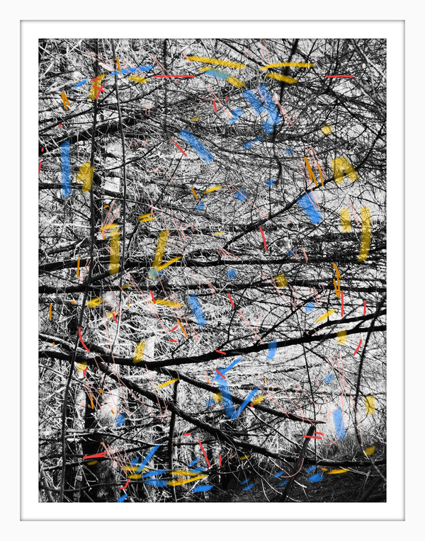 Dawn West, Intervention6