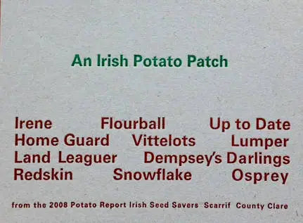 An Irish Potato Patch, Coracle