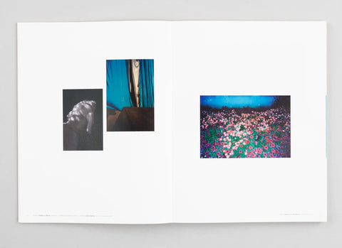 A Process · Ein Prozess, Der Greif