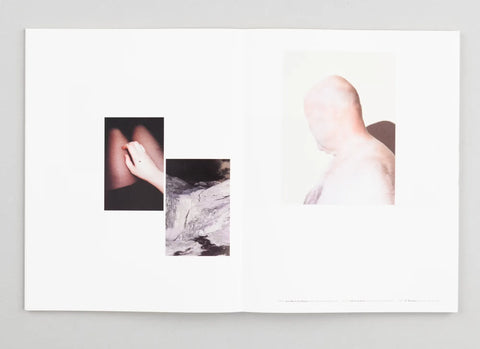 A Process · Ein Prozess, Der Greif
