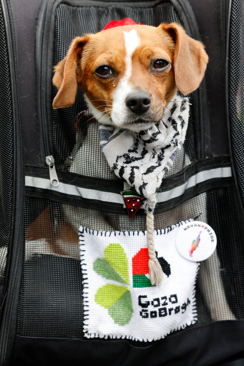 Targeta de felicitats «Doggos per a Palestina», Paula Geraghty