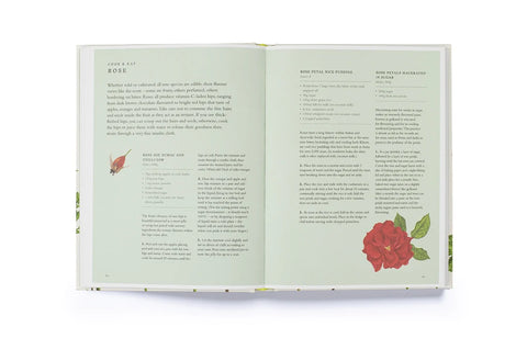 Forage: Wild Plants to Gather, Cook and Eat, Liz Knight