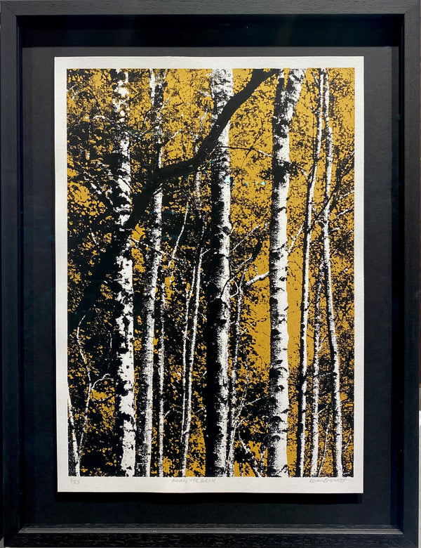 Karen Browett, Among the Birch at Tibradden