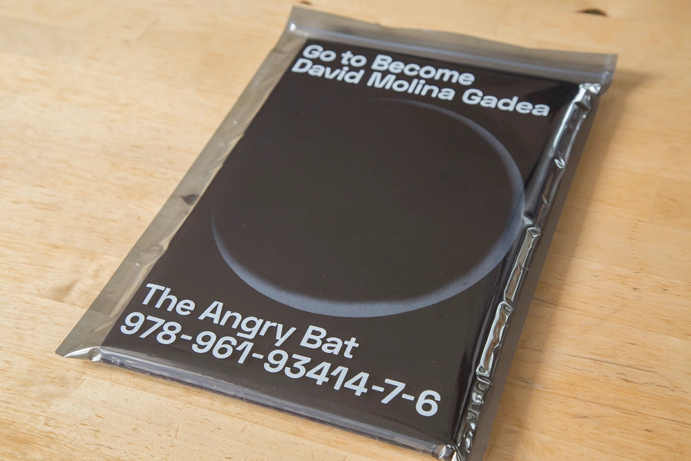 Go to Become, David Molea Gadea