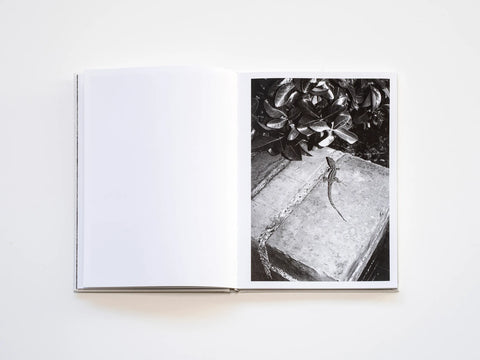 Goodbye Meadow, Filippo Zambon