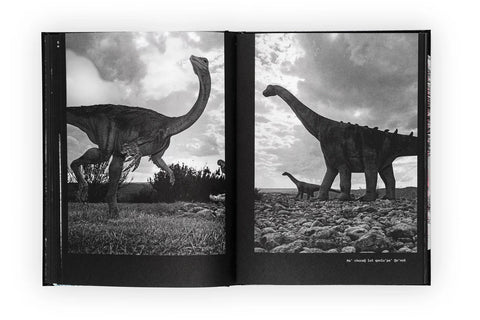 HeghDI' vem ghaH, tu'lu' Dinosaur, Joan Fontcuberta