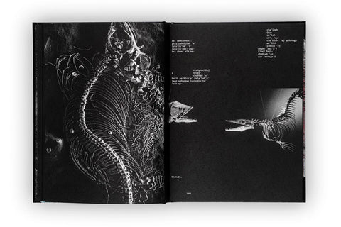 HeghDI' vem ghaH, tu'lu' Dinosaur, Joan Fontcuberta