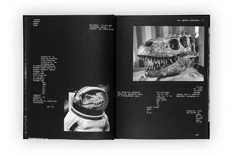 HeghDI' vem ghaH, tu'lu' Dinosaur, Joan Fontcuberta