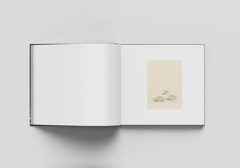 Sasanami, Masao Yamamoto