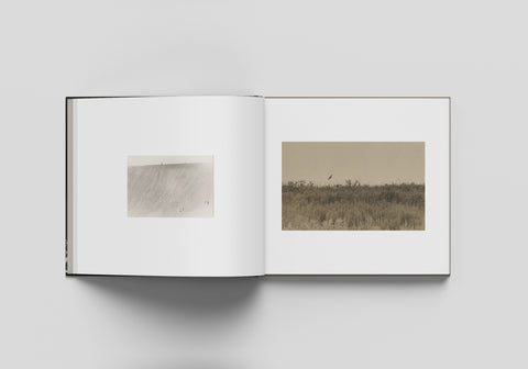 Sasanami, Masao Yamamoto