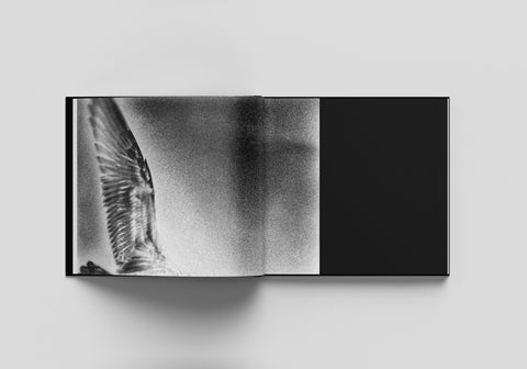 Volta No Vento, Gilles Roudière