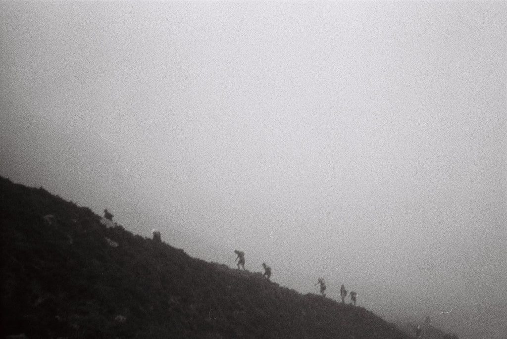 Conor McBride, Anró