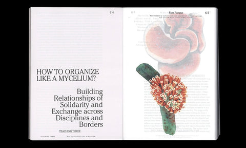Let’s Become Fungal! Mycelium Teachings and the Arts, Yasmine Ostendorf-Rodríguez