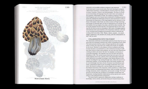 Entornem-nos fúngics! Els ensenyaments del miceli i les arts, Yasmine Ostendorf-Rodríguez
