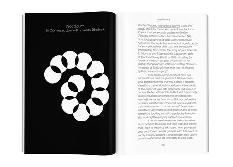 The Lives of Images, Vol. 2: Analogy, Attunement, and Attention