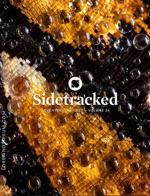 Sidetracked Volume 24
