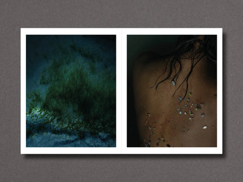 Stray Sod , Maria Lax