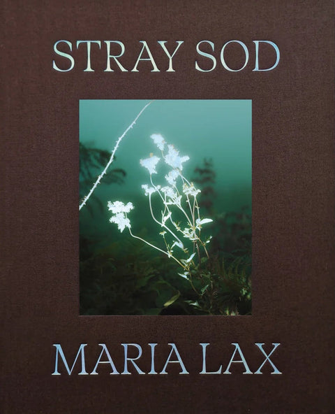 Stray Sod , Maria Lax