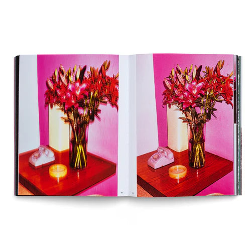 Lake Verea: Modern Barragán, Lake Verea