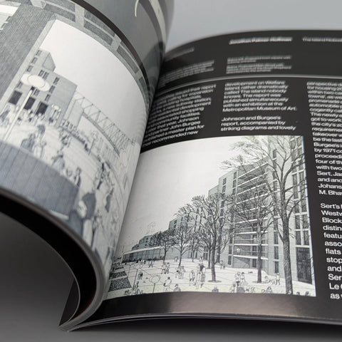 The Modernist, Issue 51: Neighbourhood