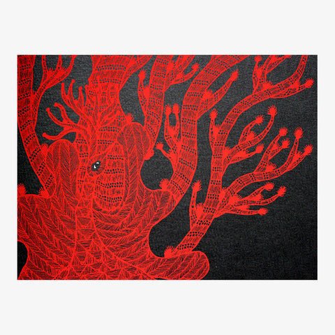 The Night Life of Trees, Bhajju Shyam, Durga Bai, Ramsingh Urveti