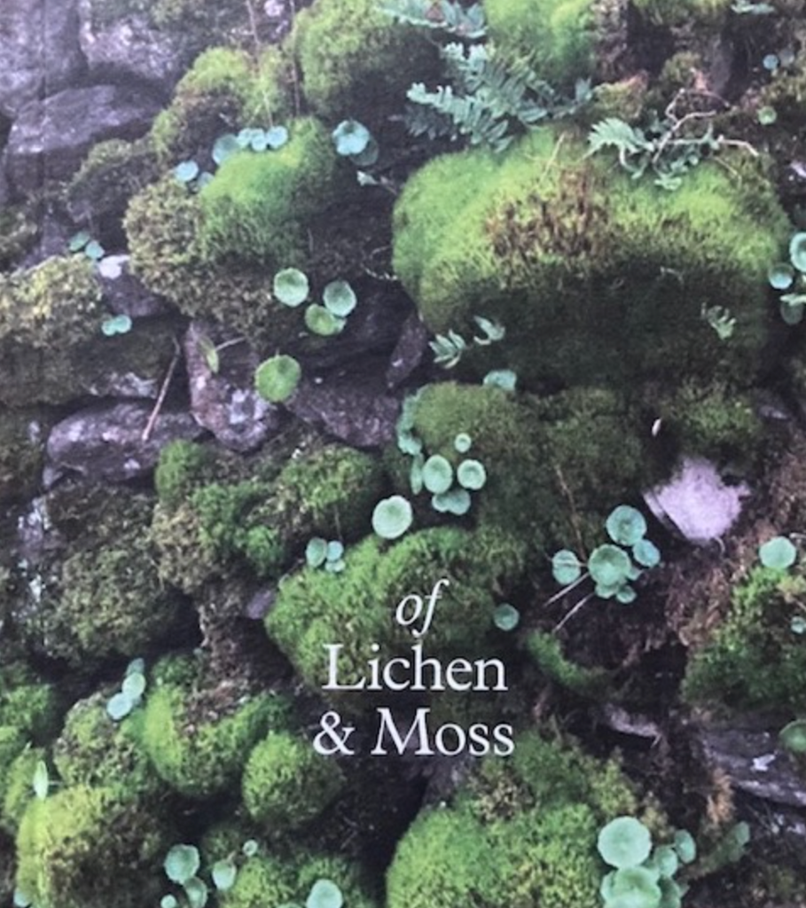 de Lichen &amp; Moss, Erica Van Horn &amp; Kate Van Houten