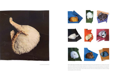 Blow Photo Issue 9: Animals