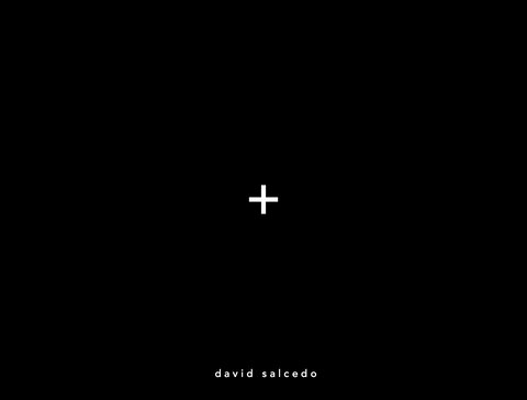 +, David Salcedo