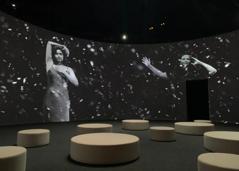 Carrie Mae Weems: Reflections for Now, Carrie Mae Weems