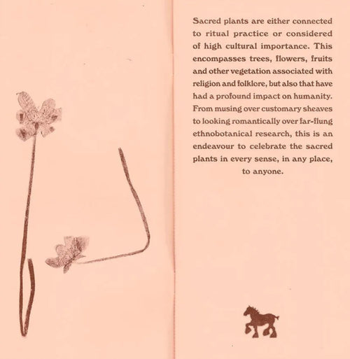 Sacred Plants, Volume 5, MMXXV