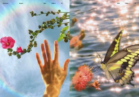 The Lure of the Image