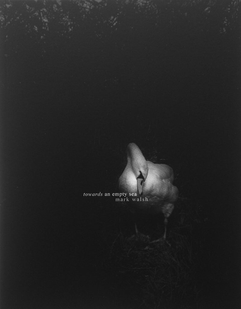 Towards an empty sea, Mark Walsh