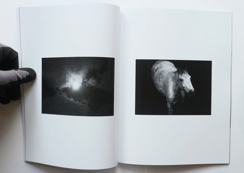 Towards an Empty Sea, Mark Walsh