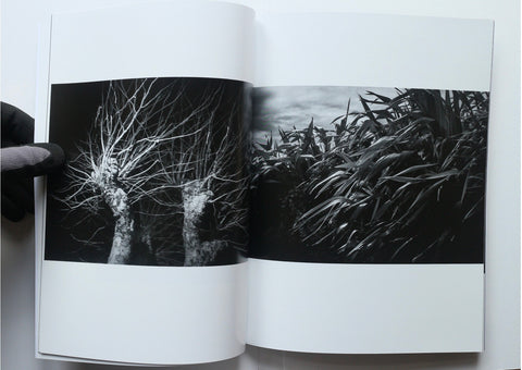 Towards an Empty Sea, Mark Walsh