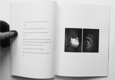 Towards an Empty Sea, Mark Walsh