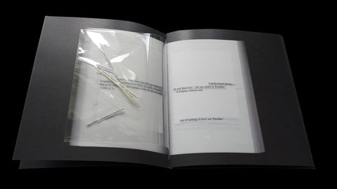 Various erasures and extractions: on memory, perception, property, recordings, and accounts of being there, Peter Maybury