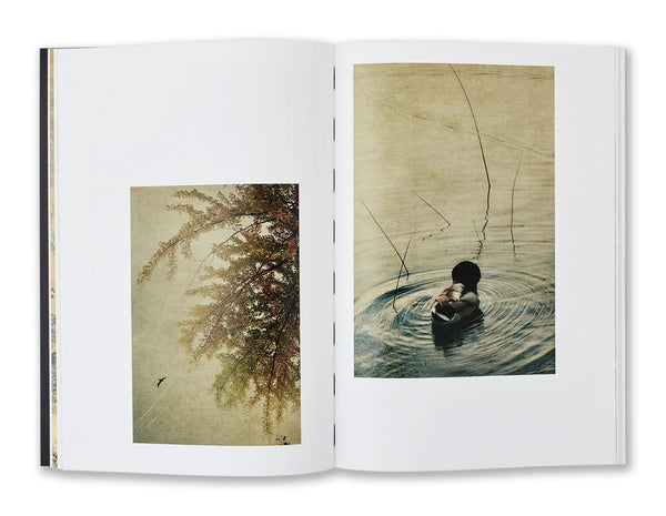 Windows to the Unexpected, Albarrán Cabrera