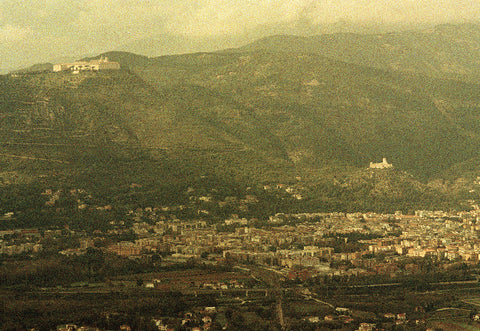 Monte Cassino (Con Amore), Steven Nestor - The Library Project