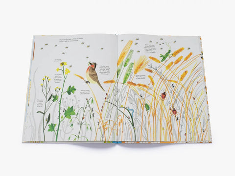 1001 Bees, Joanna Rzezak