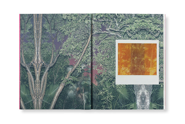 Jungle Check, Cristina De Middel agus Kalev Erickson (Sínithe)