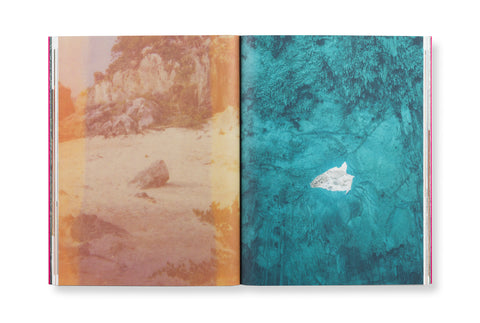 Jungle Check, Cristina De Middel i Kalev Erickson (Signat)