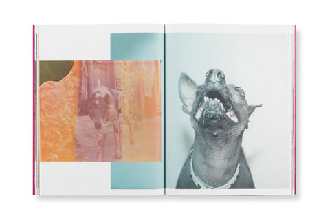 Jungle Check, Cristina De Middel i Kalev Erickson (Signat)