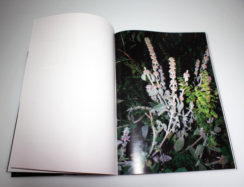 A Woman Walks Alone at Night, with a Camera, Ruby Wallis and Phillina Sun